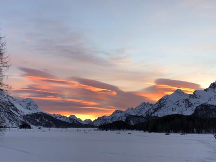 26. Februar 2019 - und da flog er in der Abendsonne vorbei....